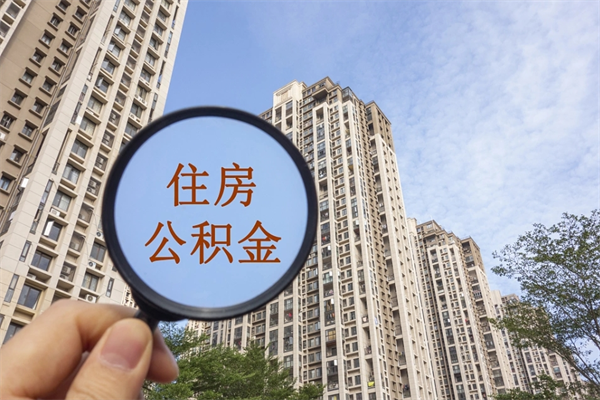 新乡辞职多久公积金可以全部取出来吗（辞职之后公积金多长时间可以取）